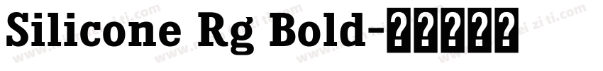 Silicone Rg Bold字体转换
